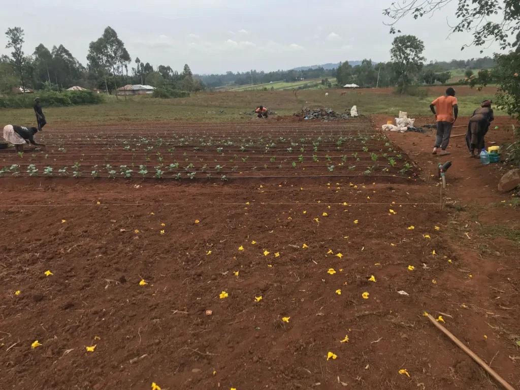 Farming in progress